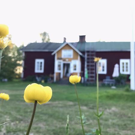 Paeivin Pirtti - Pirttikahvila Ja B&B 洛斯托 外观 照片